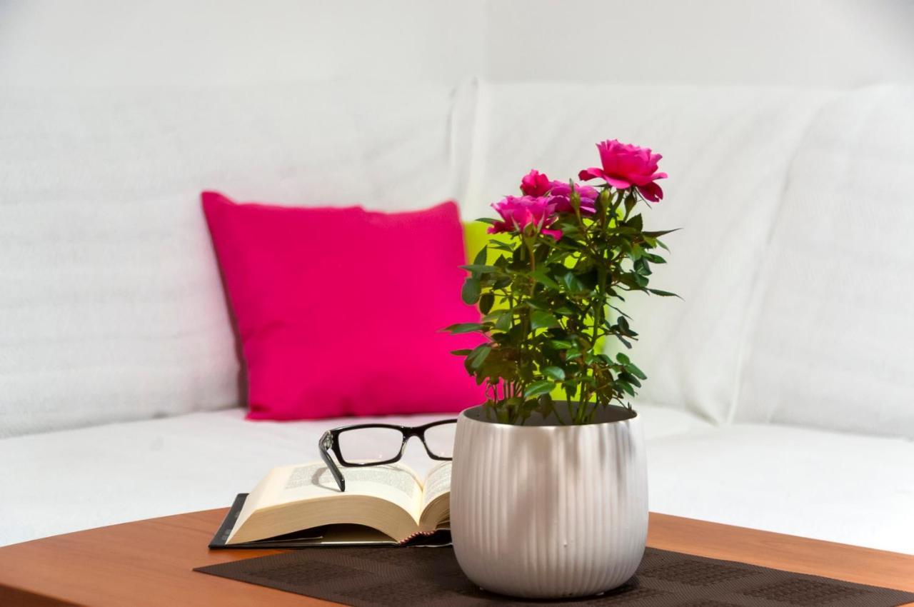 רוביני Apartment & Rooms Graciela מראה חיצוני תמונה